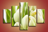 obraz na stenu kvety tulipány 5 dielne