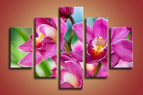 obraz thajske orchidey 5-dielny na stene