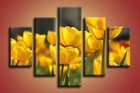 obraz na stenu zlte tulipany KV 4