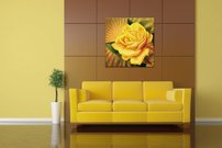 Žltá ruža - KV 0183