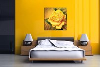 Žltá ruža - KV 0183