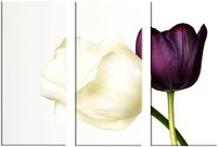 obraz na stenu kvety dva tulipány 3 dielne