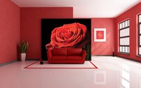 Tapeta Červená ruža - KV 0005