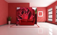 Tapeta Červená ruža - KV 0020