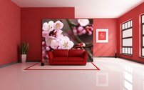 Tapeta Ružové kvety - KV 0126